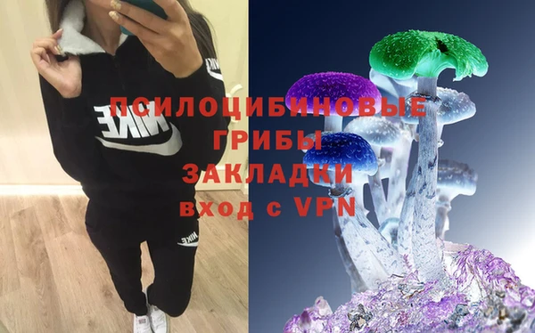 прущая мука Арсеньев